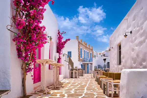 여름날 그리스 마을의 아름다운 거리입니다 하얗게칠 홍색의 부갱빌 카페와 목적지 스톡 이미지