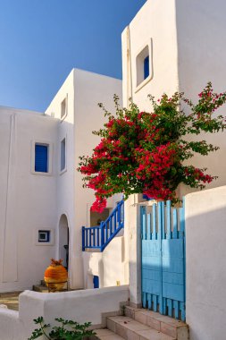 Geleneksel Yunan evi, beyaz duvarlar, mavi pencereler, merdivenler ve parmaklıklar, güneşli bir günde açan kırmızı begonviller ve açık mavi gökyüzü. Yaz tatilleri, seyahat yerleri, ada cenneti. Naoussa, Paros