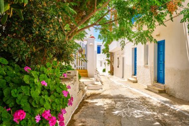 Yunanistan 'ın Naousa, Paros Adası, Ege Denizi, Yunanistan' ın geleneksel yaz caddeleri ve güzel yürüyüş yolları. Beyazlatılmış evler, yemyeşil yapraklar, güneş ışığı ve gölge, geleneksel tarz, tatiller