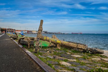 Sudan çıkarılan, çamur ve çöple kaplı kiralık elektrikli scooterlar rıhtımda yatıyor. Ekoloji tehdidi, mikro hareketlilik, çevre kirliliği, belediye sorunu, yasak, zehirli atık