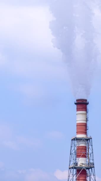 在蓝天和蓝云的映衬下 一堆堆热电站经过的镜头 白烟在风中摇曳着 空气质量和污染 城市烟雾 全球变暖 — 图库视频影像