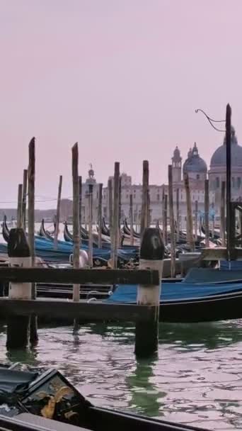 알아볼 수없는 관광객들은 이탈리아 베니스의 카날에서 곤돌라를 즐기고 있습니다 마르코 — 비디오