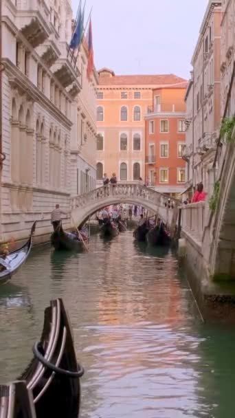 Gondeln Fahren Tagsüber Durch Enge Wasserstraßen Oder Flüsse Venedig Italien — Stockvideo