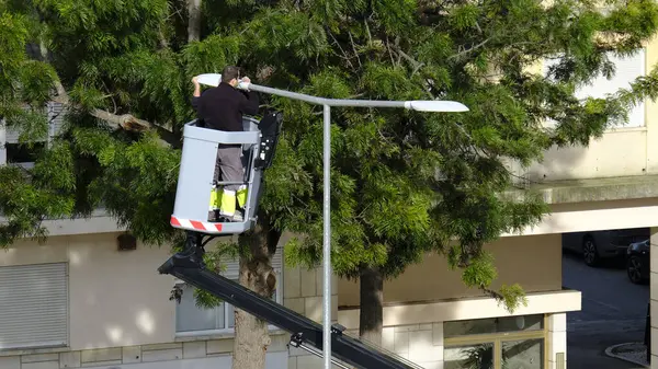 Tanımlanamayan iki erkek elektrikçi güneşli bir günde sokak lambasını tamir etmek için hava çalışma platformunu kullanıyor. Hidrolik kaldırma, kamu altyapısı, lamba direği, temel şehir