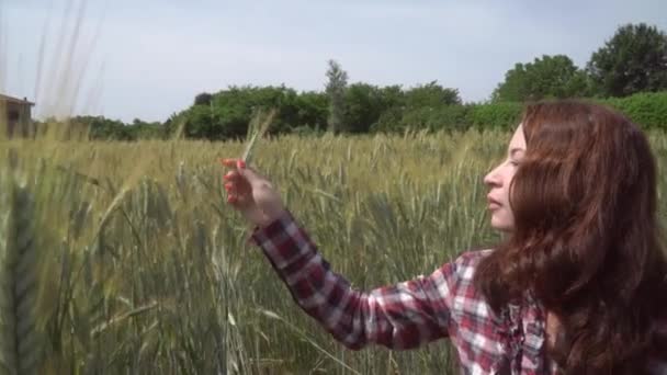 Buğday Tarlasında Mutlu Beyaz Bir Kadının Portresi Yakın Plan — Stok video