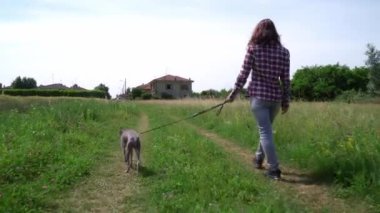 Kadın, tazı köpeğiyle arka taraftan tarla yolunda yürüyor.