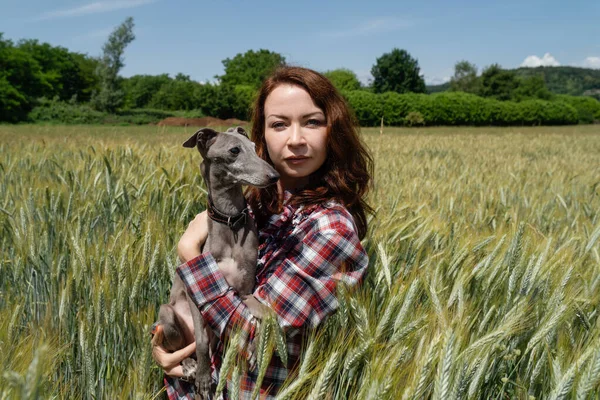 在麦田中央 看到一个快乐的女人带着一只灰色的猎狗 自然和动物概念 — 图库照片