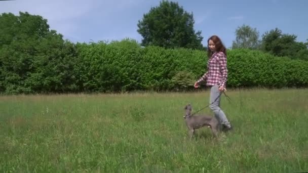 Žena Džínách Běží Její Chrt Plemeno Pes Poli Venku — Stock video