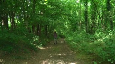 Genç kadın kareli gömlek ve kot pantolon giyiyor yaz ormanlarında tazı köpeğiyle yürüyor.