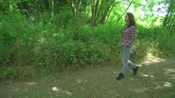 Genç Kadın Kareli Gömlek Kot Pantolon Giyiyor Yaz Ormanlarında Tazı — Stok video