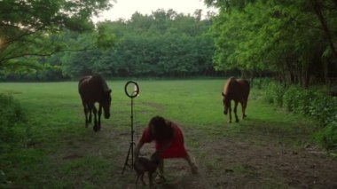 Popüler blogcu, arka planda köpek ve atlarla orman çayırında durmuş abonelerle konuşurken video blogu kaydediyor. Sosyal medya ve halk kavramı.