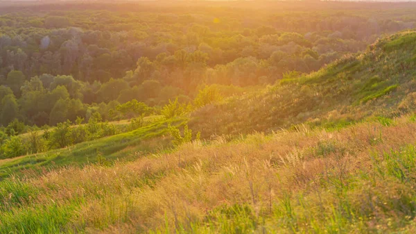 Zachód Słońca Dolinie Rzeki Las Wzgórze Baner Internetowy Naturalne Tło — Zdjęcie stockowe