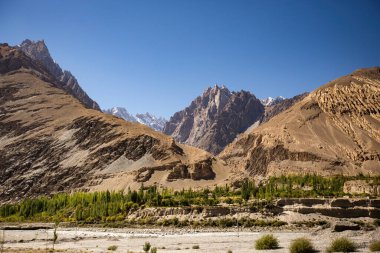 Ağaçlarla kaplı dağ manzarası, Pakistan