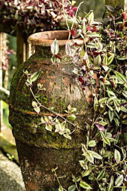 Çiçeklerle kaplanmış yosun vazosu