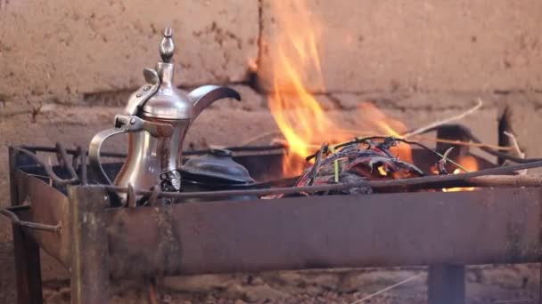 베두인족 마을의 베두인 비디오 이집트 시나이 — 비디오