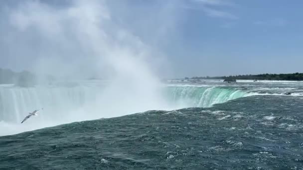 Lassított Felvétel Niagara Vízesésről Látkép Kanadai Oldalról Ontario Kanada — Stock videók