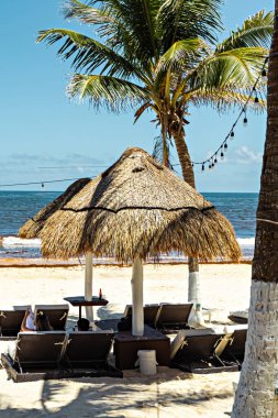 Tulum 'daki cennet kumsalı, güneş şemsiyeleri ve kumsaldaki güneş yatakları, Tulum, Meksika.