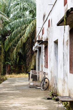Ormanda kulübe, Malezya