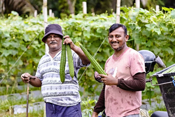 Rolnicy Prezentują Swoje Zbiory Penang Malezja — Zdjęcie stockowe