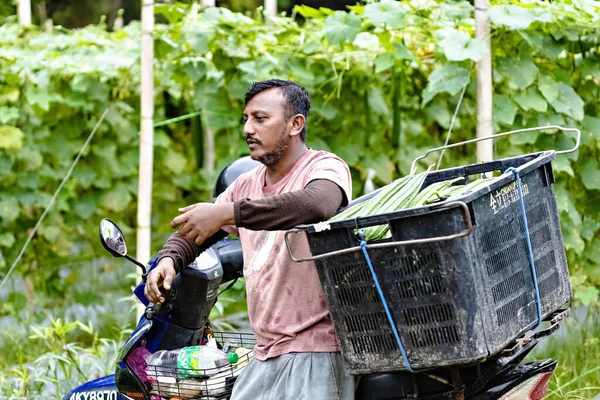 Agricultor Con Una Cosecha Moto Penang Malasia —  Fotos de Stock