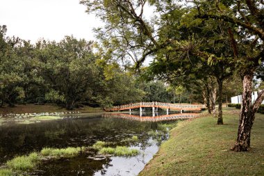 Taining Lake Gardens Parkı 'ndaki Köprü, Malezya