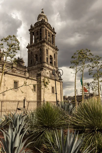 Meksyk Metropolitan Cathedral Detale Zewnętrzne Meksyk — Zdjęcie stockowe