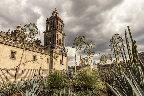 stock image Mexico City Metropolitan Cathedral exterior details, Mexico