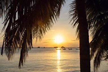 Sahilde muhteşem bir gün batımı, Koh Tao, Tayland