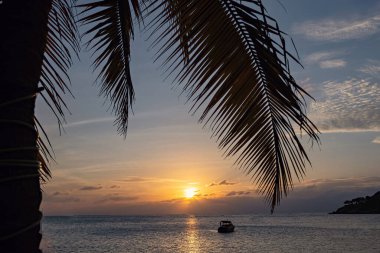 Sahilde muhteşem bir gün batımı, Koh Tao, Tayland