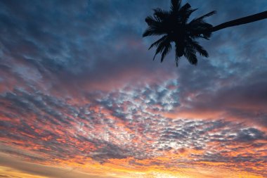 Kartpostal, arka plan nefes kesici gün batımı gökyüzü ve Tayland 'da palmiye ağacı