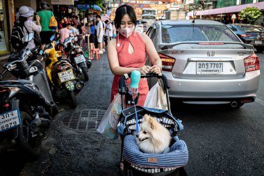 Chinese woman with the dog traditionally dressed for Chinese New year celebration in Bangkok