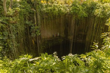 Cenote It Kil aerial view in Yucatan Mexico
