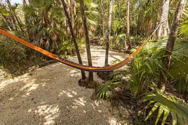 Hammock in the jungle Mexico