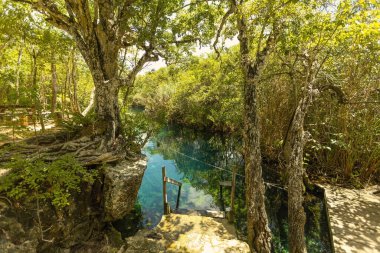 Tulum, Tulum 'daki Tortuga Evi' nde şaşırtıcı turkuaz su cenote, Meksika doğal güzelliği, Tulum, Meksika