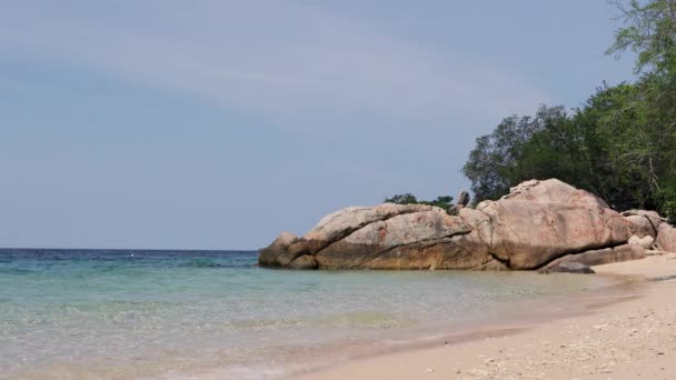 Tropical Paradise Sandy Beach Koh Tao Island Koh Samui Thailand — стоковое видео