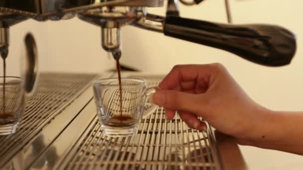 Barista Preparing Cup Coffee Coffee Machine Woman Hand Holding Cup — Vídeo de Stock