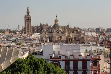 Aerial view of Sevilla from Las Setas De Sevilla (Sevilla Mushrooms) center on sunny day, Andalusia, Spain