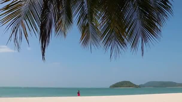 Парадизе Пустой Белый Песчаный Пляж Пальмами Лангкави Малайзия — стоковое видео
