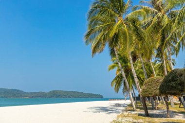 Cennet boş kumlu kumlu plaj Langkawi Malezya 'da palmiye ağaçları