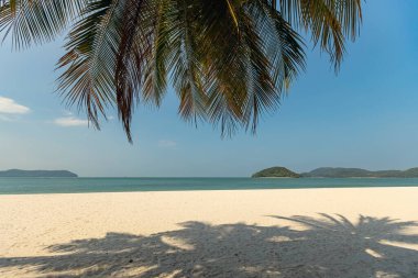 Cennet boş kumlu kumlu plaj Langkawi Malezya 'da palmiye ağaçları