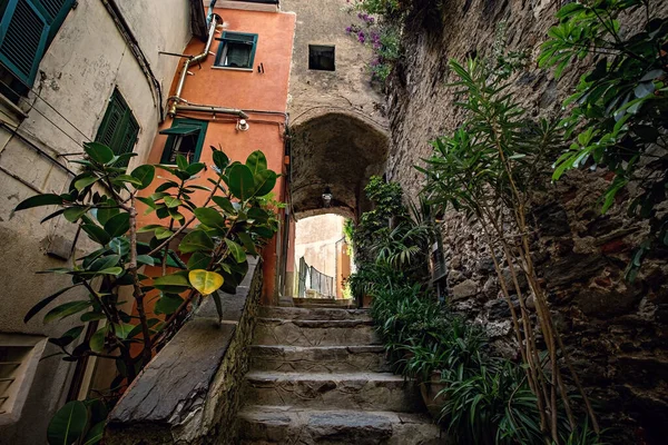 Traditionele Italiaanse Architectuur Kleurrijke Huizen Smalle Straat Vernazza Italiaanse Rivièra — Stockfoto