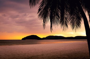 Palmiye ağacının altında tropik gün batımı