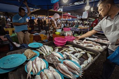 Langkawi Malezya 'daki gece pazarında balık tezgahı