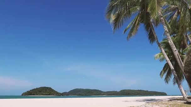 Рай Пустой Белый Песчаный Пляж Пальмами Малайзии — стоковое видео