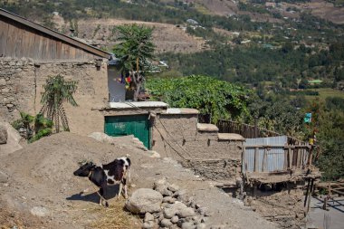 Traditional Pakistani village houses on the hill in rural area of Northern Pakistan
