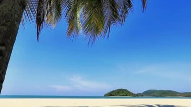 Cennet, Malezya 'da palmiye ağaçları olan boş kumlu kumsal