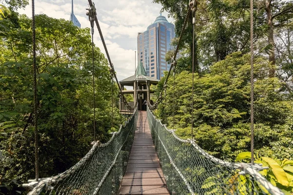 Kuala Lumpur Eco Park Ormanı 'nda Kuala Lumpur Malezya' da asılı bir kubbe ayak köprüsü