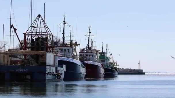 Barcos Pesca Tradicionais Longo Costa Antiga Nessebar Bulgária — Vídeo de Stock
