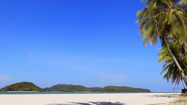 Рай Пустой Белый Песчаный Пляж Пальмами Малайзии — стоковое видео