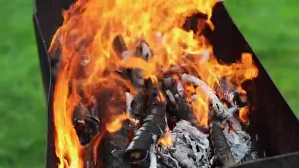 Płonący Ogień Zamrażarce — Wideo stockowe